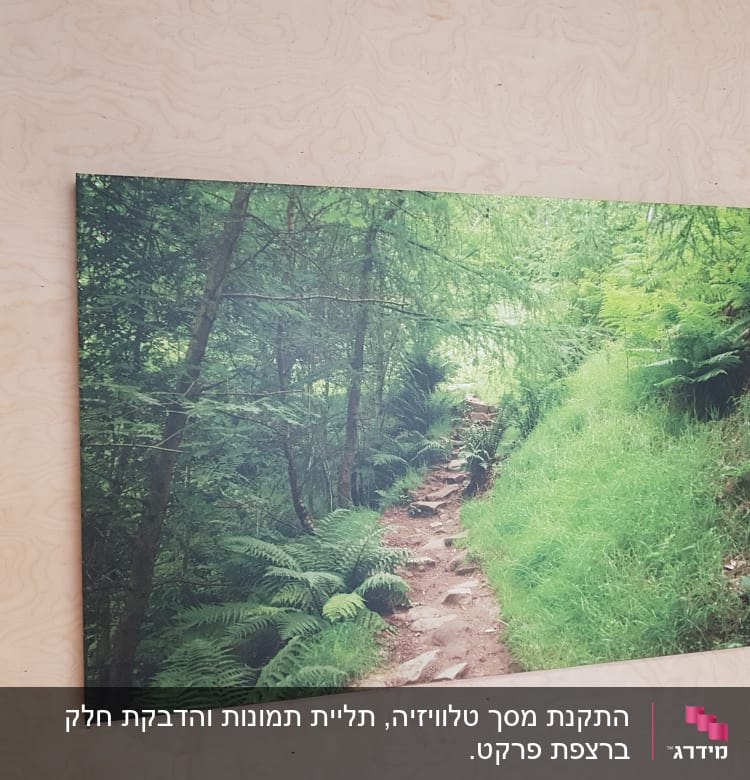 תמונה של יער תלויה על קיר עץ